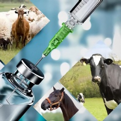 Veterinary