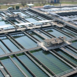Water Treatment & Disinfectants