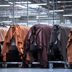 Tannery